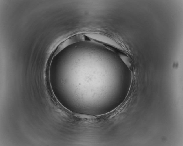 X0000090890340200708171710