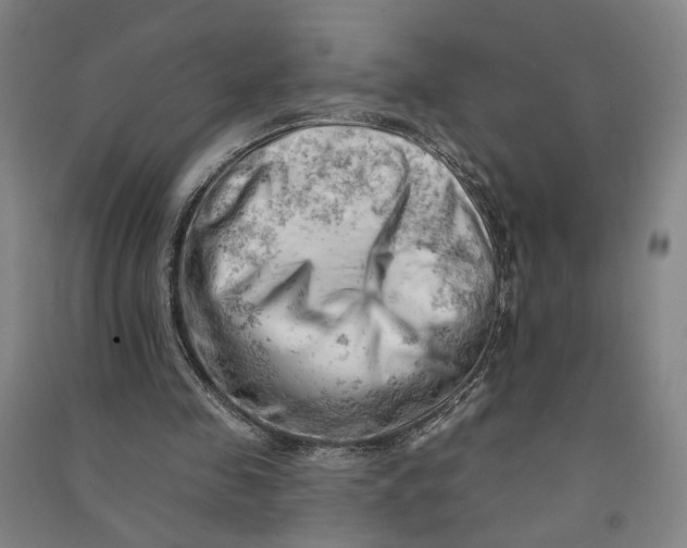 X0000090890341200708171710