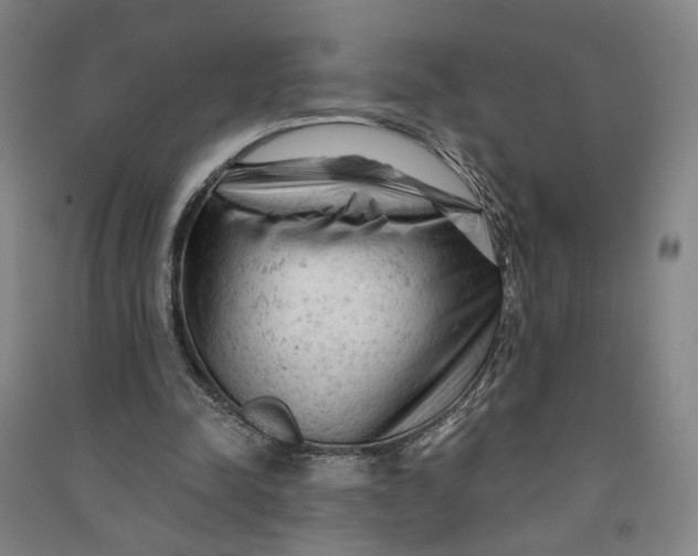 X0000090890342200708171710