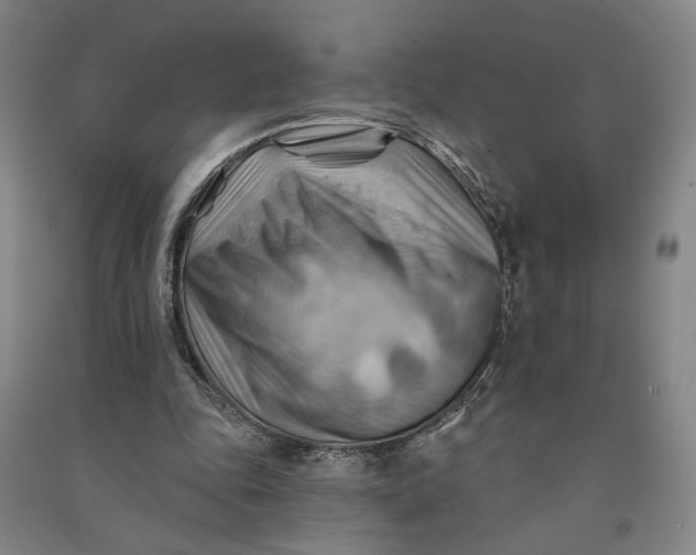 X0000090890343200708171710