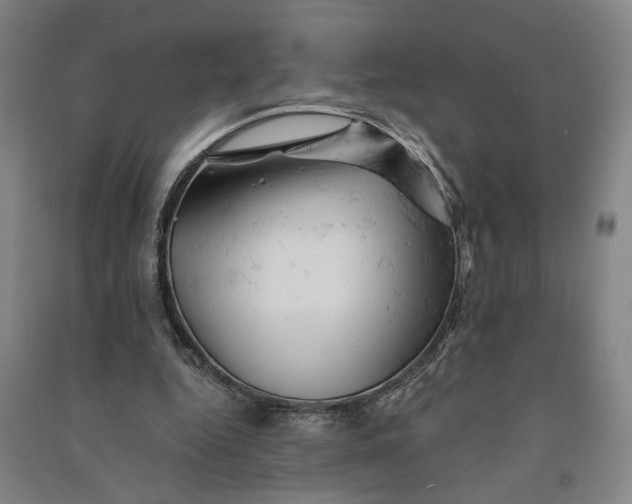 X0000090890344200708171710