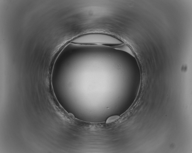 X0000090890345200708171710