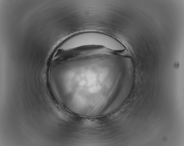 X0000090890346200708171710