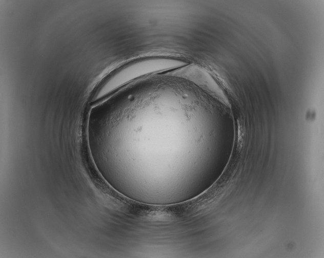 X0000090890348200708171710