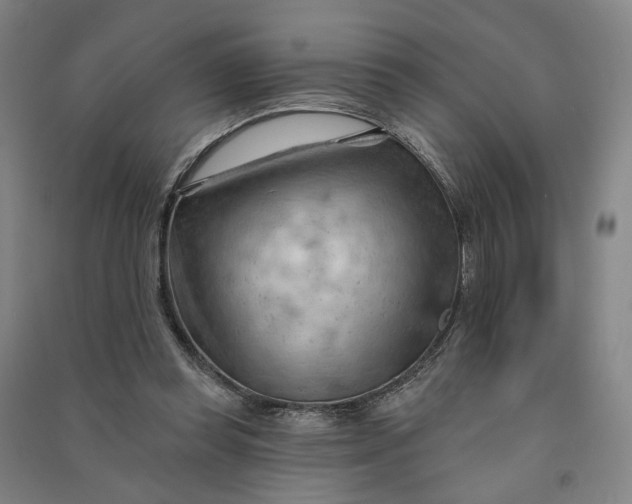 X0000090890349200708171710