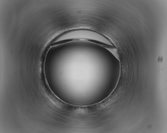 X0000090890350200708171710