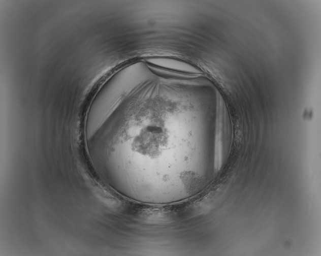 X0000090890351200708171710