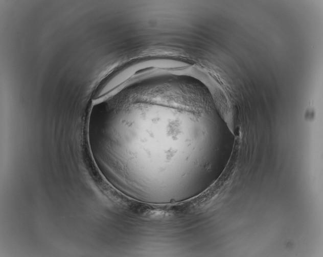 X0000090890352200708171710