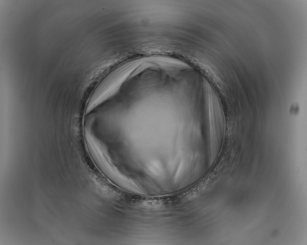 X0000090890353200708171710