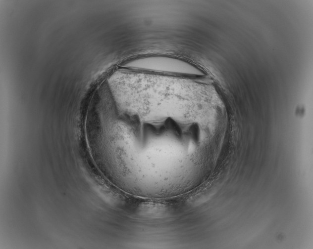 X0000090890354200708171710