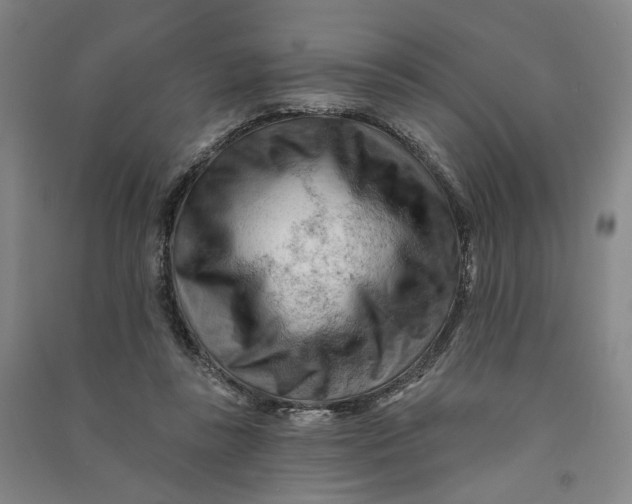 X0000090890355200708171710