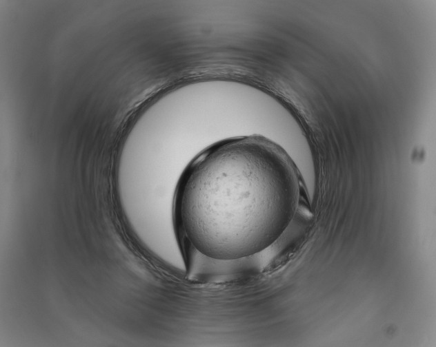 X0000090890356200708171710