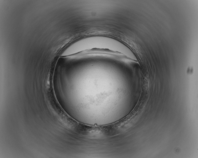 X0000090890358200708171710