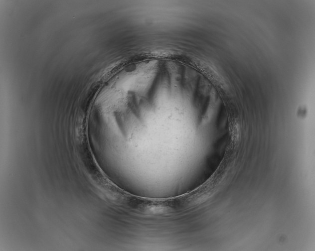 X0000090890360200708171710