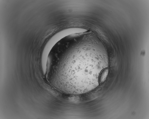 X0000090890362200708171710