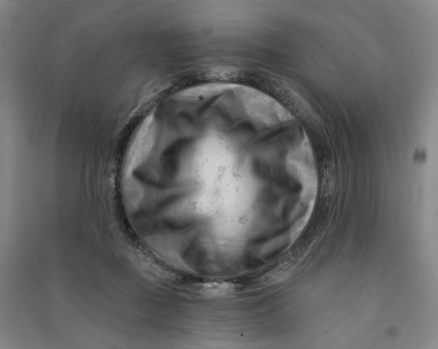 X0000090890363200708171710