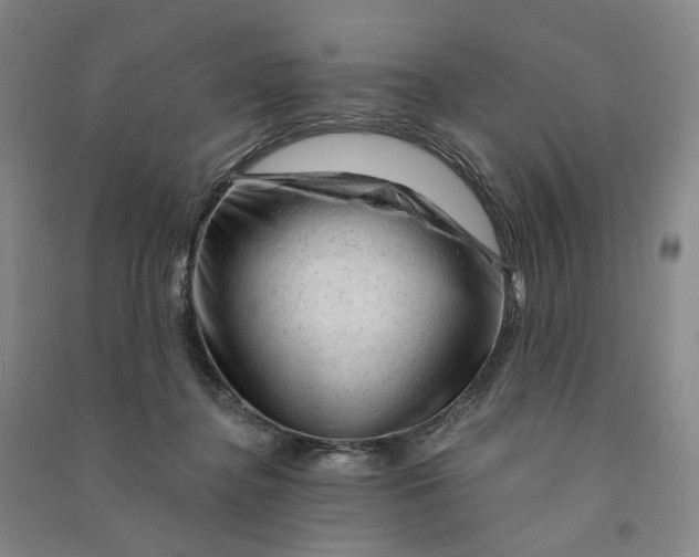 X0000090890364200708171710