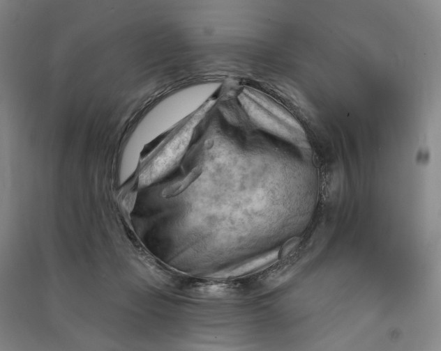 X0000090890365200708171710