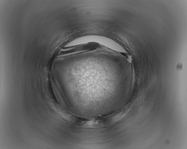 X0000090890366200708171710