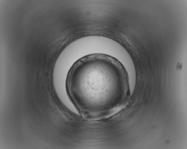 X0000090890368200708171710