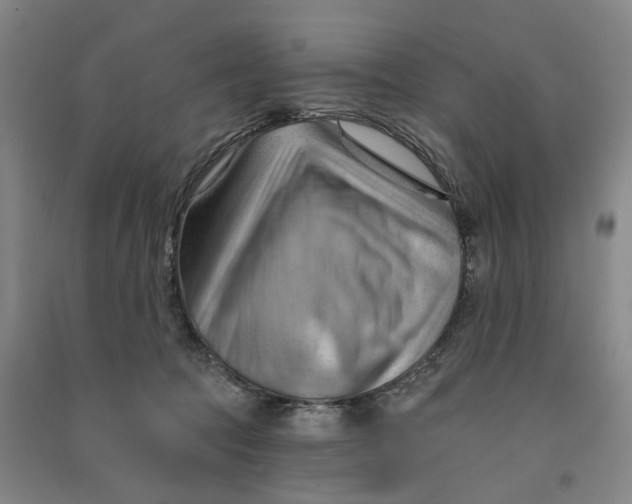 X0000090890369200708171710