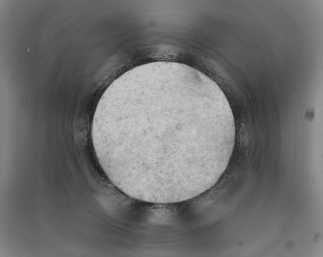 X0000090890370200708171711