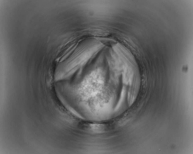 X0000090890371200708171711