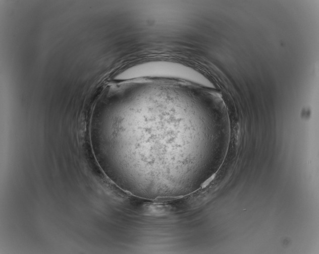 X0000090890372200708171711