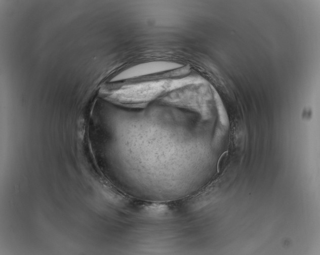 X0000090890374200708171711