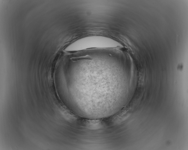 X0000090890377200708171711