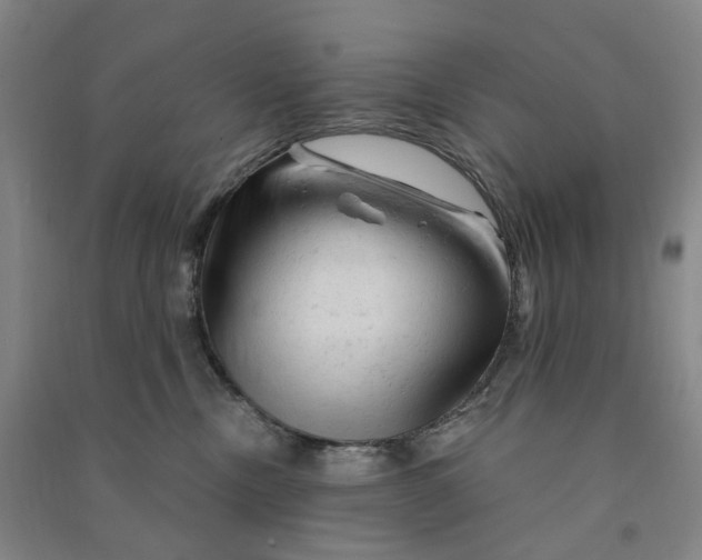 X0000090890378200708171711