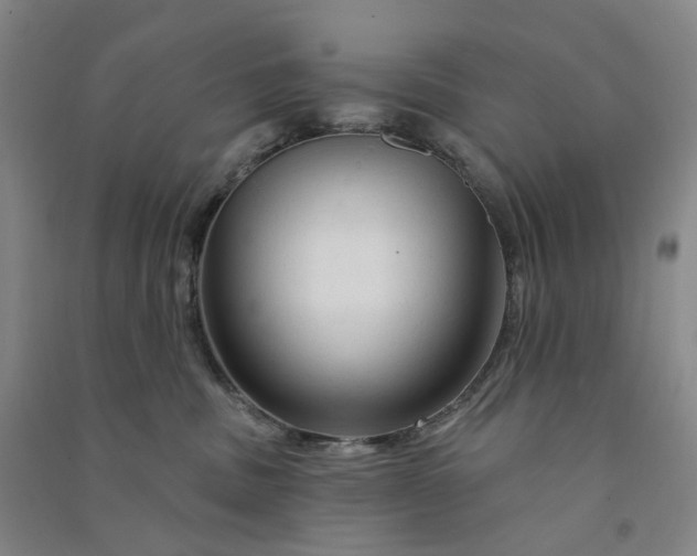 X0000090890379200708171711