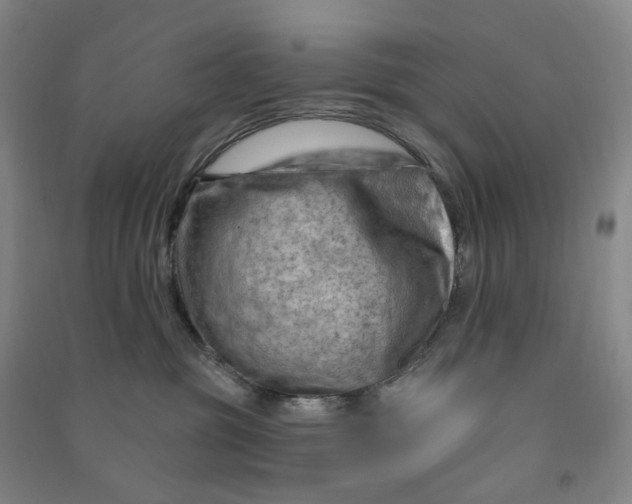 X0000090890381200708171711