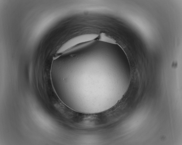 X0000090890382200708171711