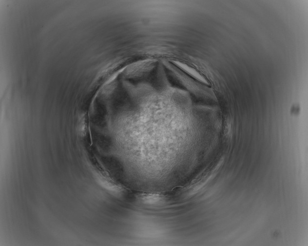 X0000090890383200708171711