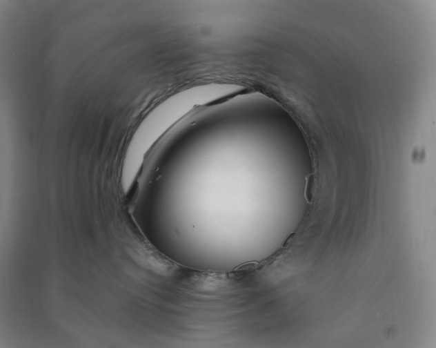 X0000090890384200708171711