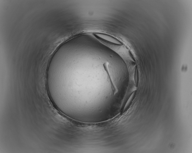 X0000090890385200708171710