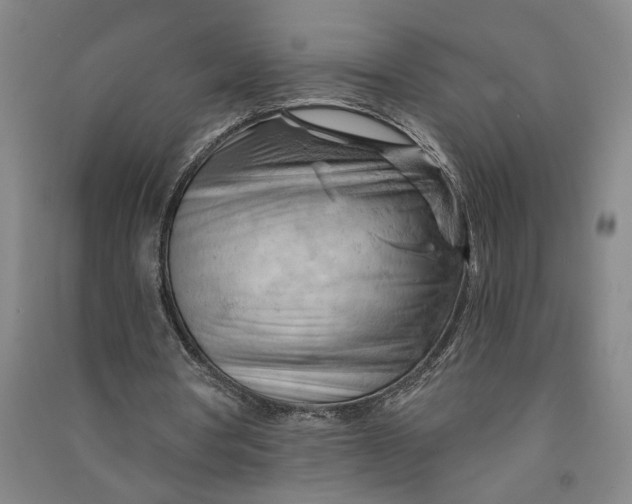 X0000090890386200708171710