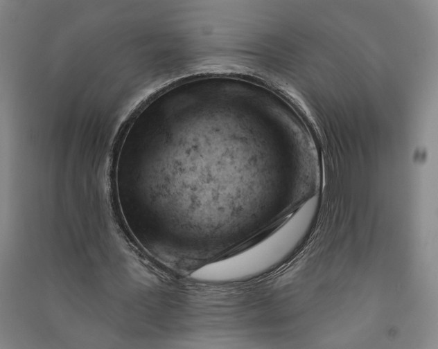 X0000090890387200708171710