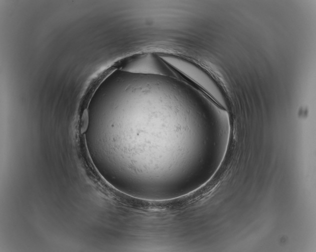 X0000090890388200708171710