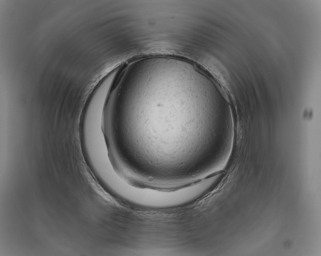 X0000090890389200708171710