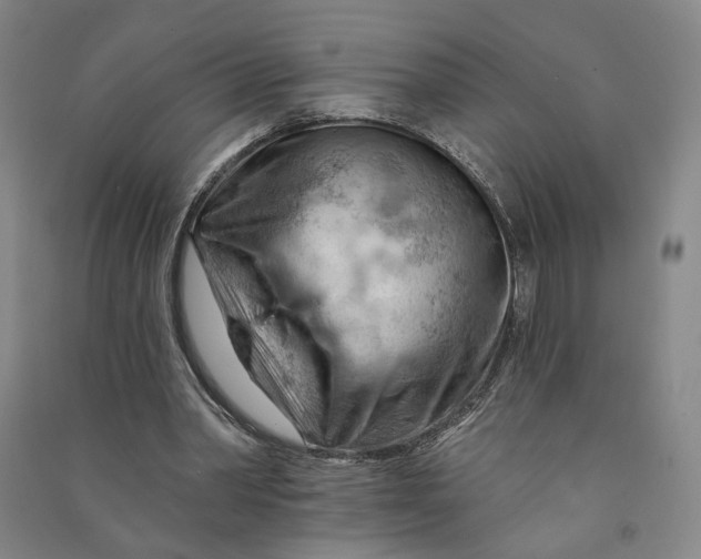 X0000090890390200708171710