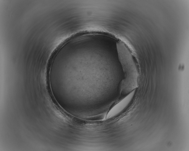 X0000090890391200708171710