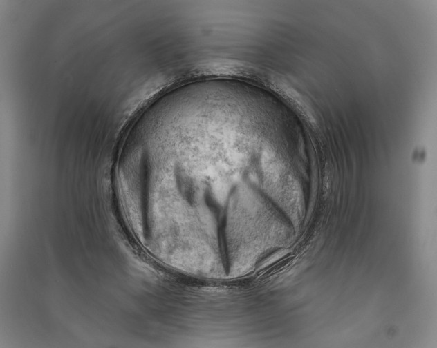 X0000090890394200708171710