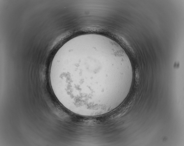 X0000090890396200708171710