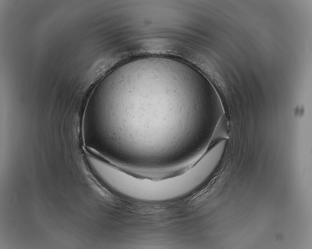 X0000090890397200708171710