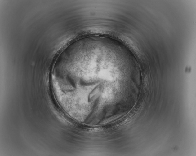 X0000090890398200708171710