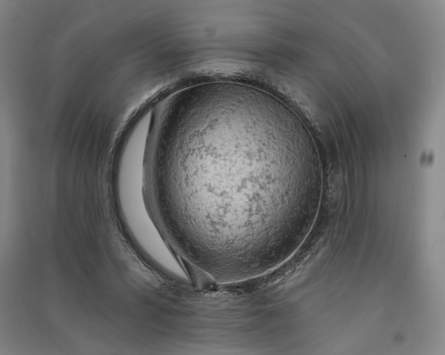 X0000090890399200708171710