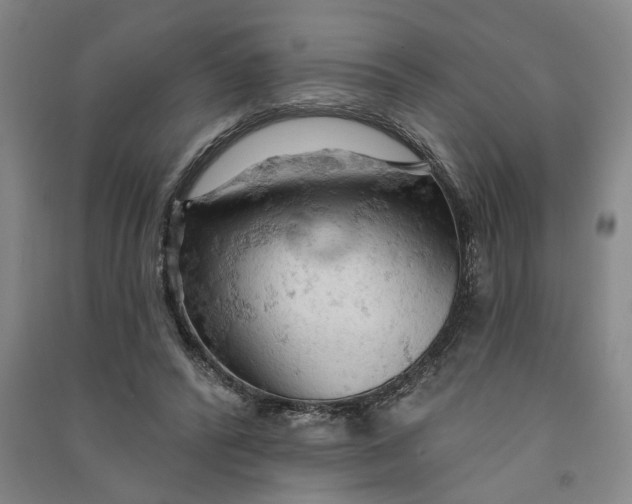 X0000090890400200708171710