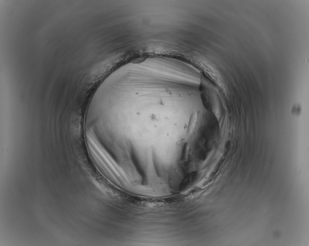 X0000090890401200708171710